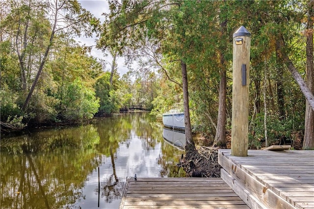 dock area featuring a water view