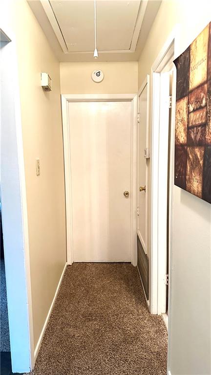 hallway featuring carpet flooring