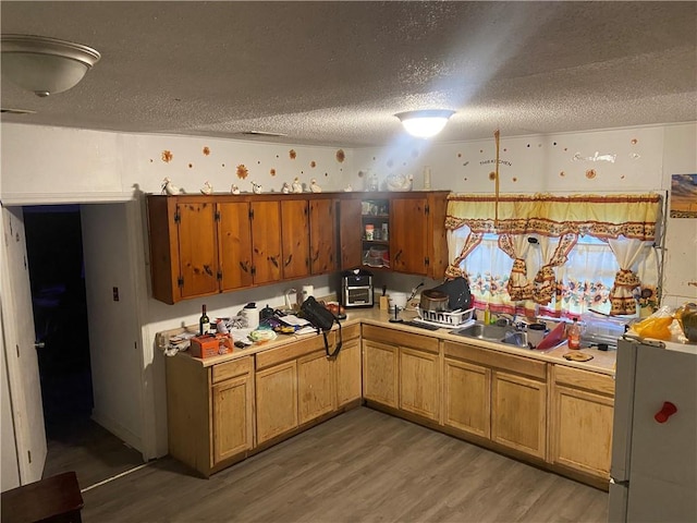 kitchen with a textured ceiling, dark hardwood / wood-style floors, sink, and white refrigerator