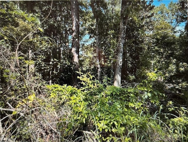 0 Royal River Dr, Coden AL, 36523 land for sale