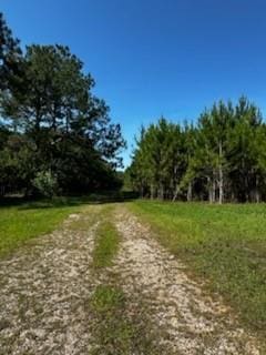 0 Edgar Roberts Rd, Grand Bay, AL 36544