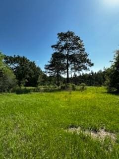 0 Edgar Roberts Rd, Grand Bay, AL 36544