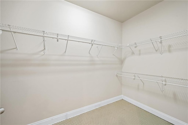 walk in closet with carpet floors