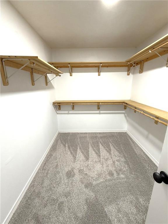 spacious closet with carpet floors