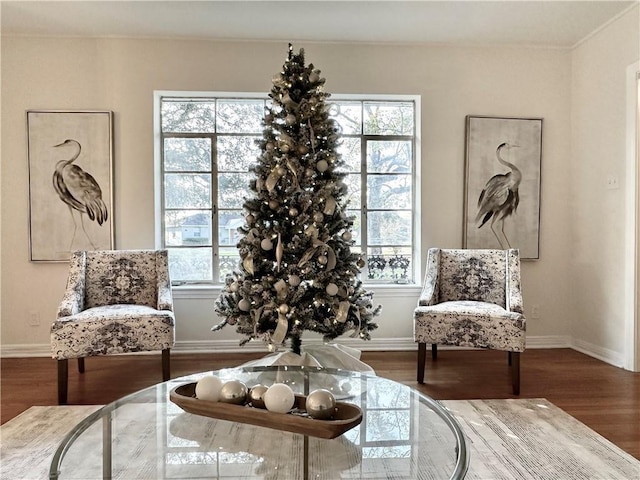 sitting room with hardwood / wood-style floors