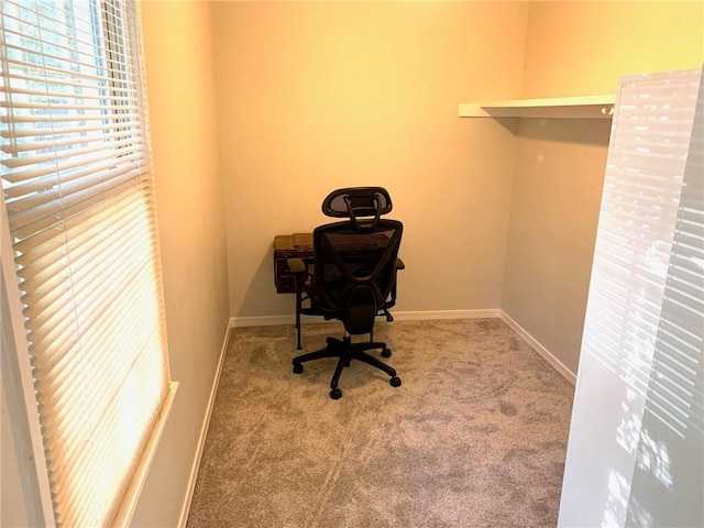 unfurnished office featuring baseboards and carpet