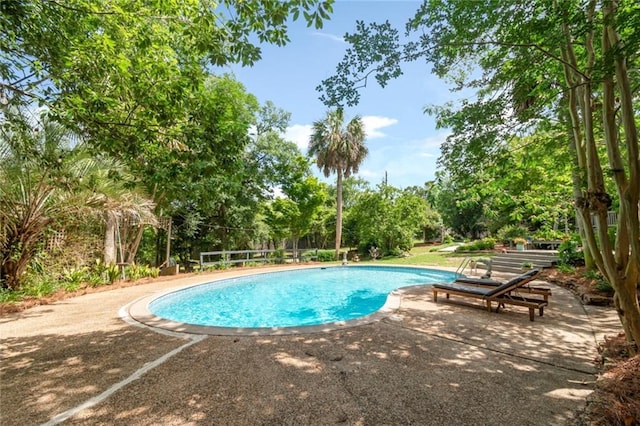 6000 Shenandoah Rd N, Mobile, AL 36608 - swimming pool featuring view of scattered trees and a patio