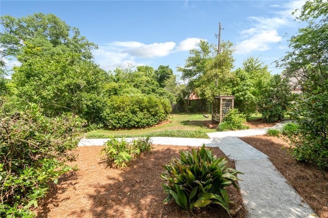 6000 Shenandoah Rd N, Mobile, AL 36608 - view of community