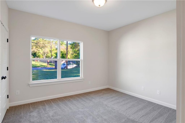 empty room featuring carpet