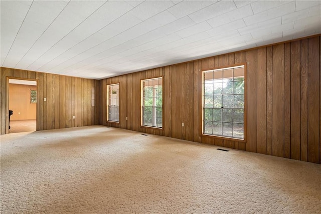66 Mccoy Ave, Satsuma, AL 36572 - carpeted empty room featuring wood walls