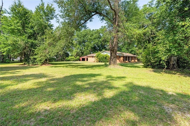 66 Mccoy Ave, Satsuma, AL 36572 - view of green lawn