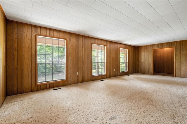 66 Mccoy Ave, Satsuma, AL 36572 - empty room featuring carpet flooring and wooden walls