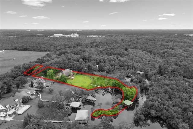 6060 Riverchase Dr S, Mobile, AL 36619 - aerial overview of property's location with a forest and property parcel outlined