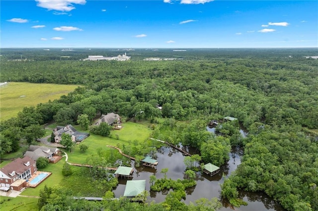 6060 Riverchase Dr S, Mobile, AL 36619 - aerial view of property and surrounding area with a forest and a nearby body of water