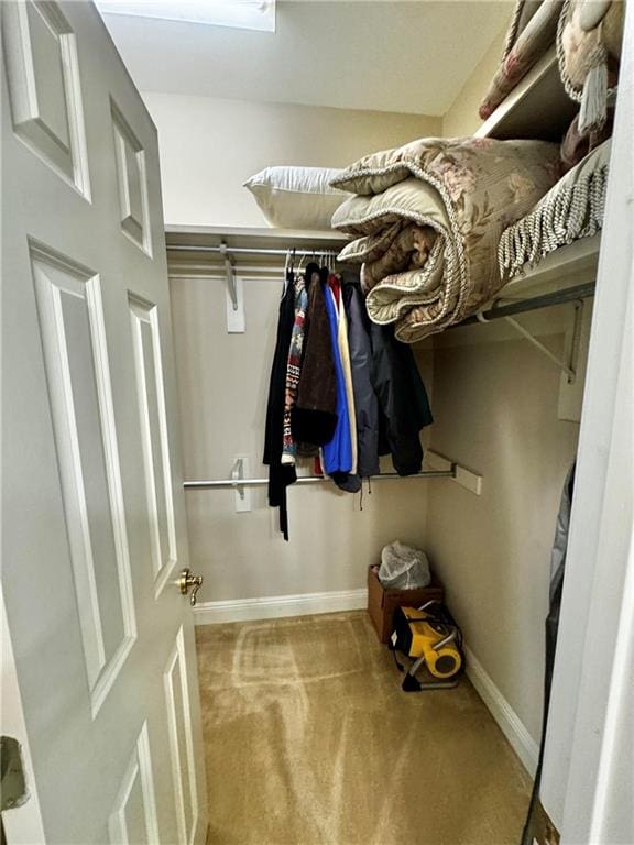 walk in closet with light carpet