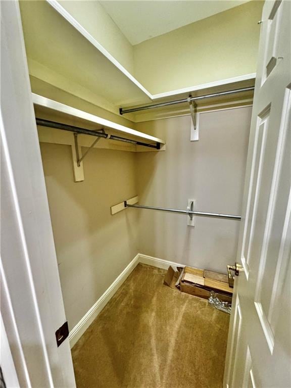 walk in closet with carpet floors