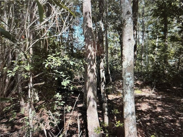 0 Royal River Dr, Coden AL, 36523 land for sale