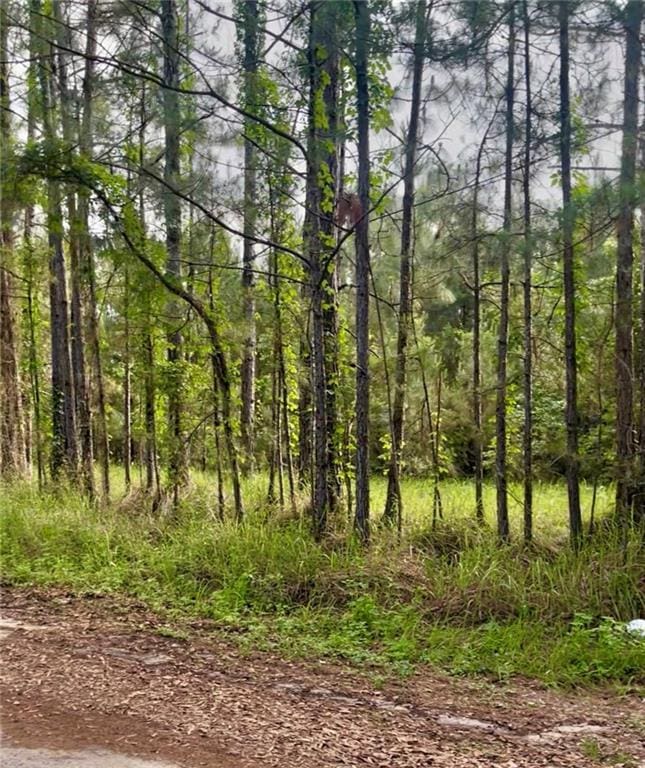 11400 Henderson Camp Rd, Mobile, AL 36541
