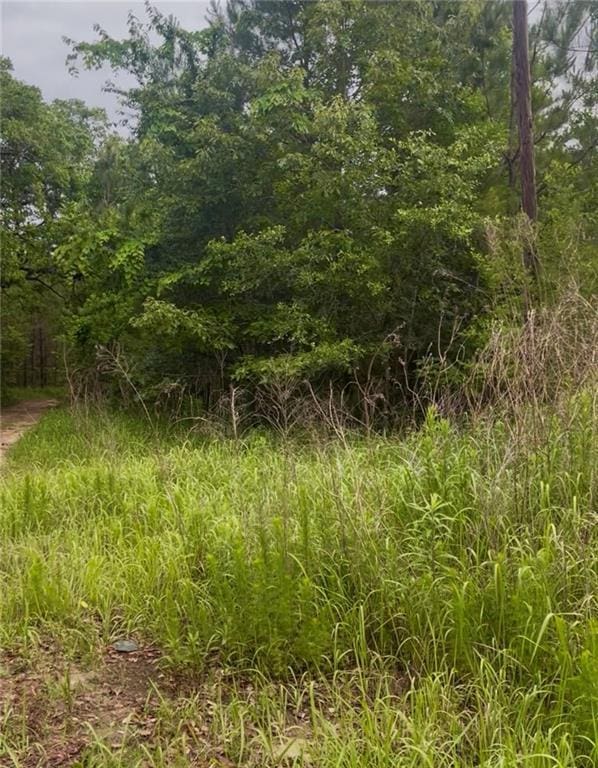 11400 Henderson Camp Rd, Mobile, AL 36541