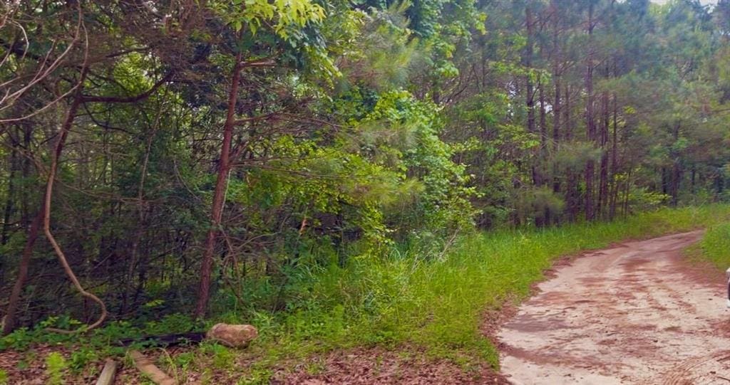 11400 Henderson Camp Rd, Mobile, AL 36541