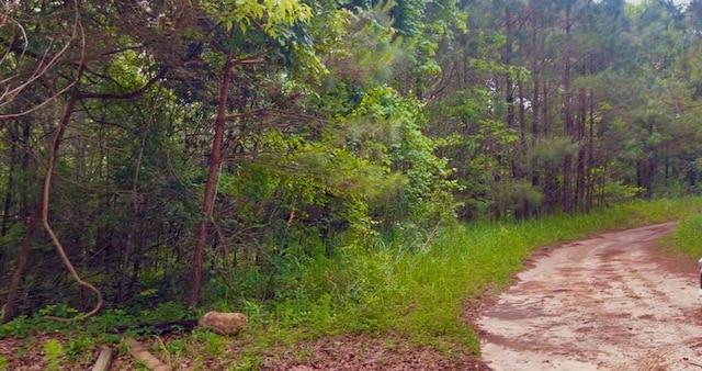 11400 Henderson Camp Rd, Mobile, AL 36541