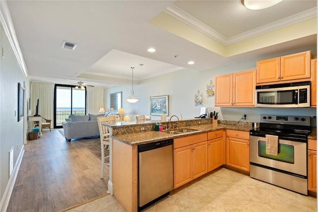 kitchen with stainless steel appliances, a peninsula, a sink, open floor plan, and a tray ceiling