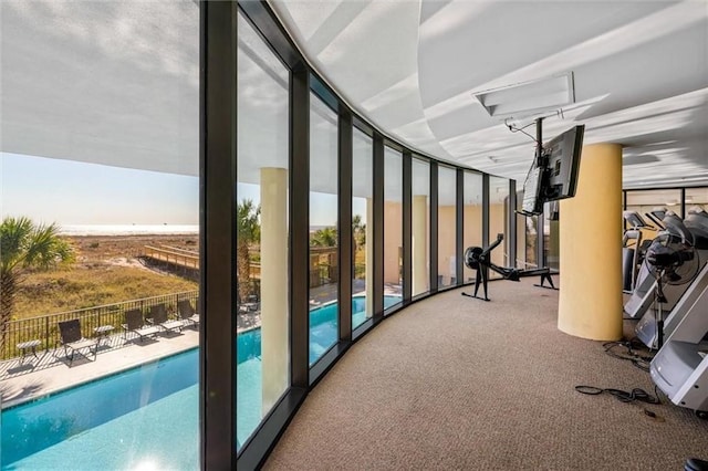 workout area featuring a wall of windows and carpet floors