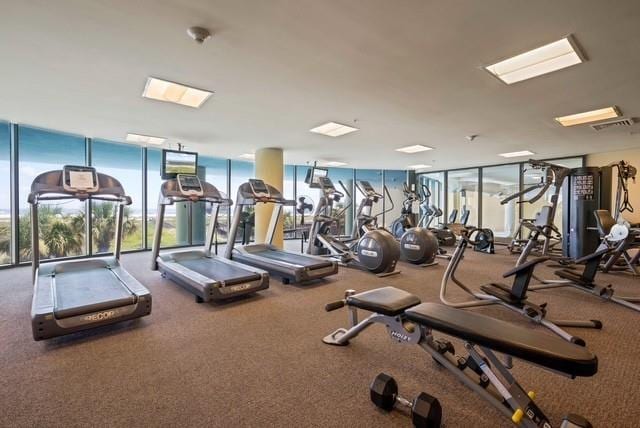 workout area featuring expansive windows, visible vents, and a wealth of natural light