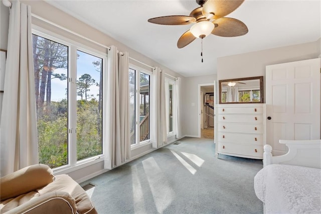 interior space with carpet floors, access to exterior, multiple windows, and visible vents