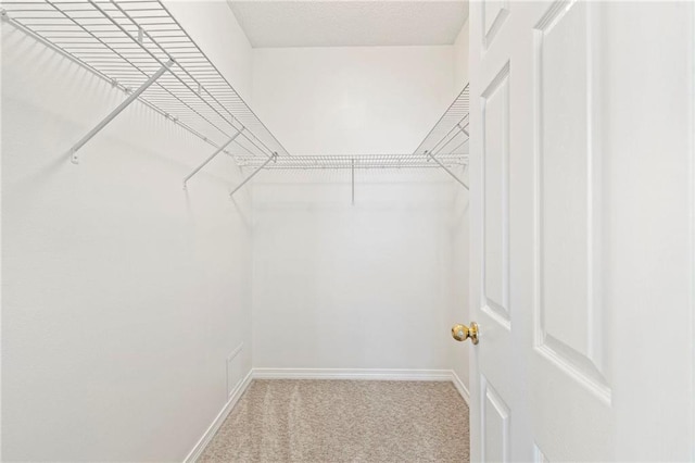 spacious closet featuring carpet