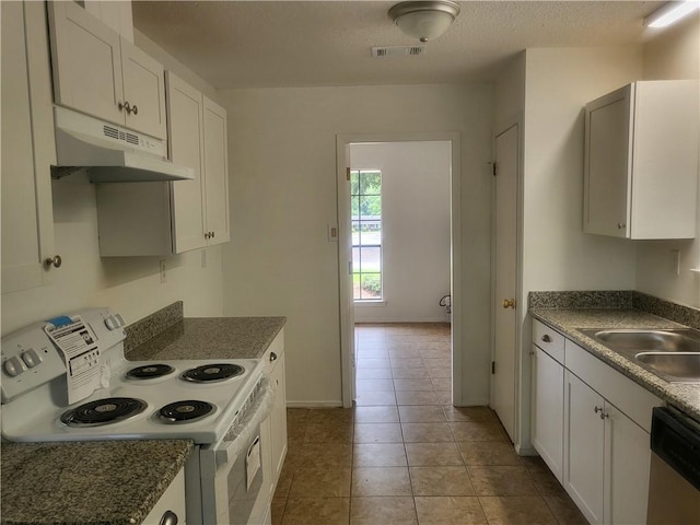 6290 Quail Ct, Theodore, AL 36582 - kitchen featuring electric range, under cabinet range hood, dishwasher, a sink, and white cabinets