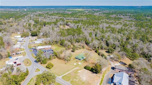52780 State Highway 59, Stockton, AL 36579 - bird's eye view with a forest view