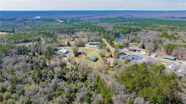 52780 State Highway 59, Stockton, AL 36579 - birds eye view of property featuring a view of trees