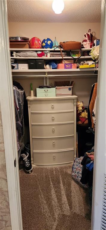 6325 Shadowlake Ct, Mobile, AL 36693 - walk in closet with carpet floors