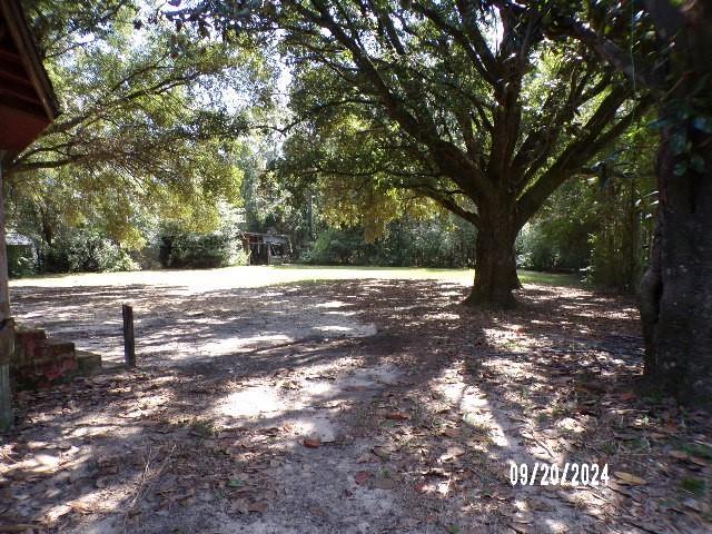 15131 Moffett Rd, Wilmer, AL 36587 - view of yard