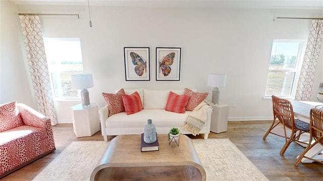 living room with wood-type flooring