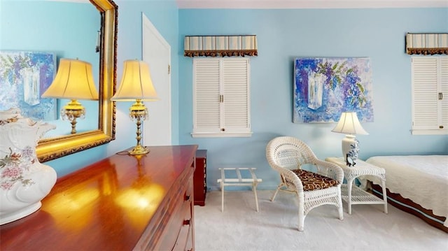 living area featuring carpet floors