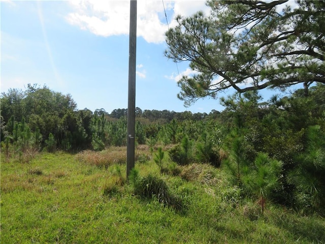 0 Hemley Rd, Coden, AL 36523