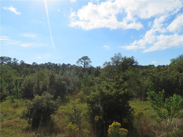 0 Hemley Rd, Coden, AL 36523