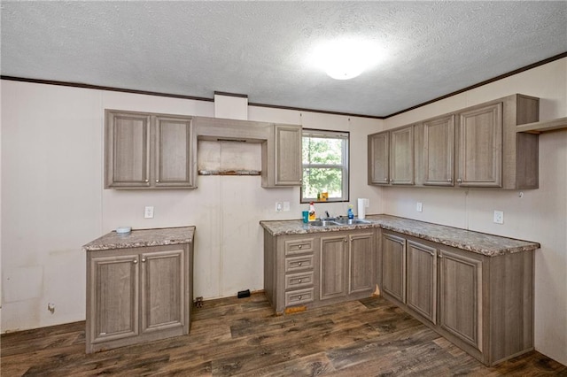 6550 Oak Grove Rd, Eight Mile, AL 36613 - kitchen with crown molding, a textured ceiling, dark wood-type flooring, and a sink