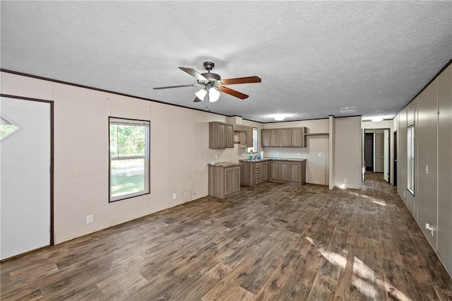 6550 Oak Grove Rd, Eight Mile, AL 36613 - kitchen featuring dark wood-type flooring, ceiling fan, and a textured ceiling