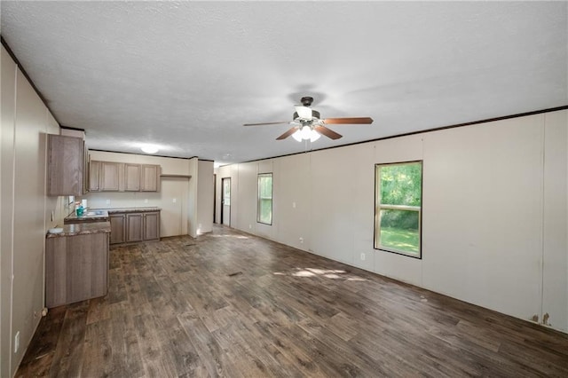 6550 Oak Grove Rd, Eight Mile, AL 36613 - unfurnished living room with ceiling fan, dark wood finished floors, and plenty of natural light