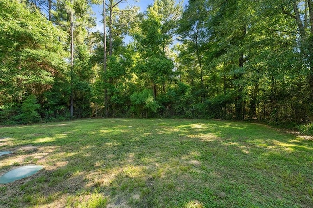 6550 Oak Grove Rd, Eight Mile, AL 36613 - view of green lawn featuring a forest view