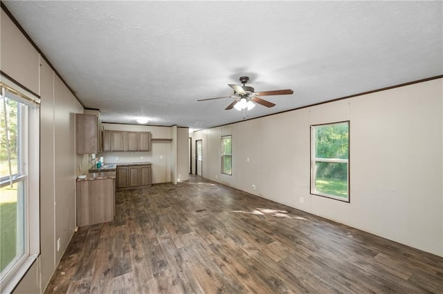6550 Oak Grove Rd, Eight Mile, AL 36613 - unfurnished living room with dark wood-style floors and ceiling fan