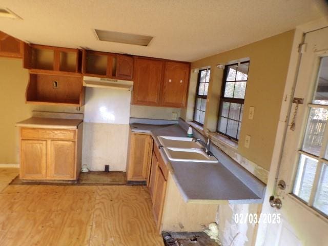 kitchen with sink and light hardwood / wood-style flooring