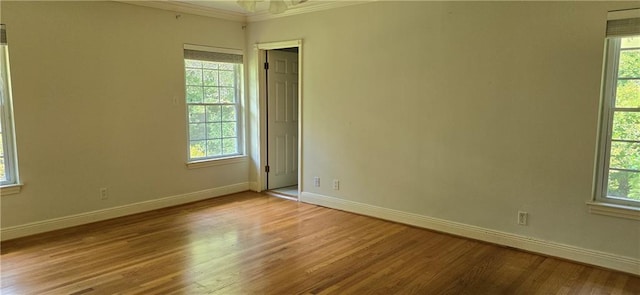 spare room with ornamental molding and light wood-type flooring