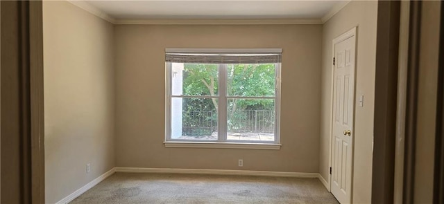 unfurnished room with crown molding, plenty of natural light, and light carpet