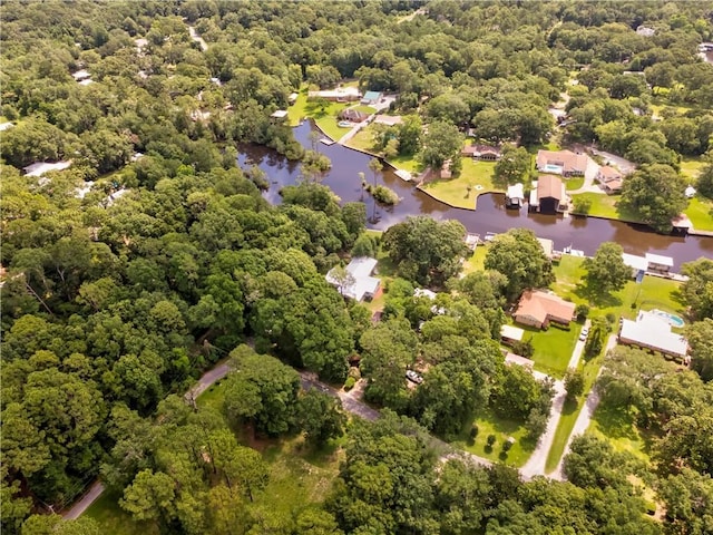 11375 Wacker Dr, Theodore, AL 36582 - bird's eye view of a large body of water and a forest