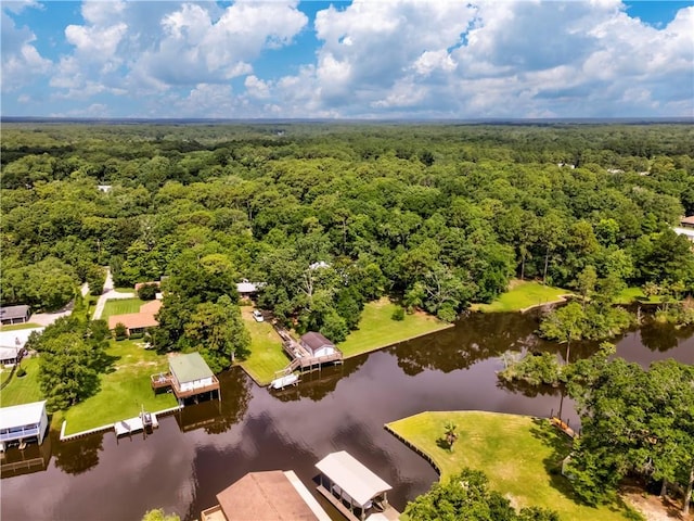 11375 Wacker Dr, Theodore, AL 36582 - drone / aerial view of a forest and a nearby body of water
