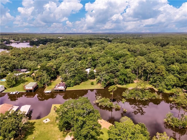 11375 Wacker Dr, Theodore, AL 36582 - aerial view of a large body of water